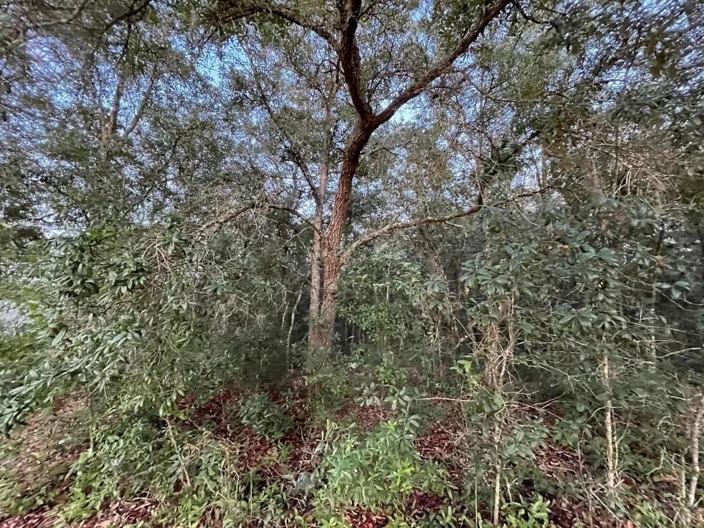 Photo of 512 Oakcrest Drive
