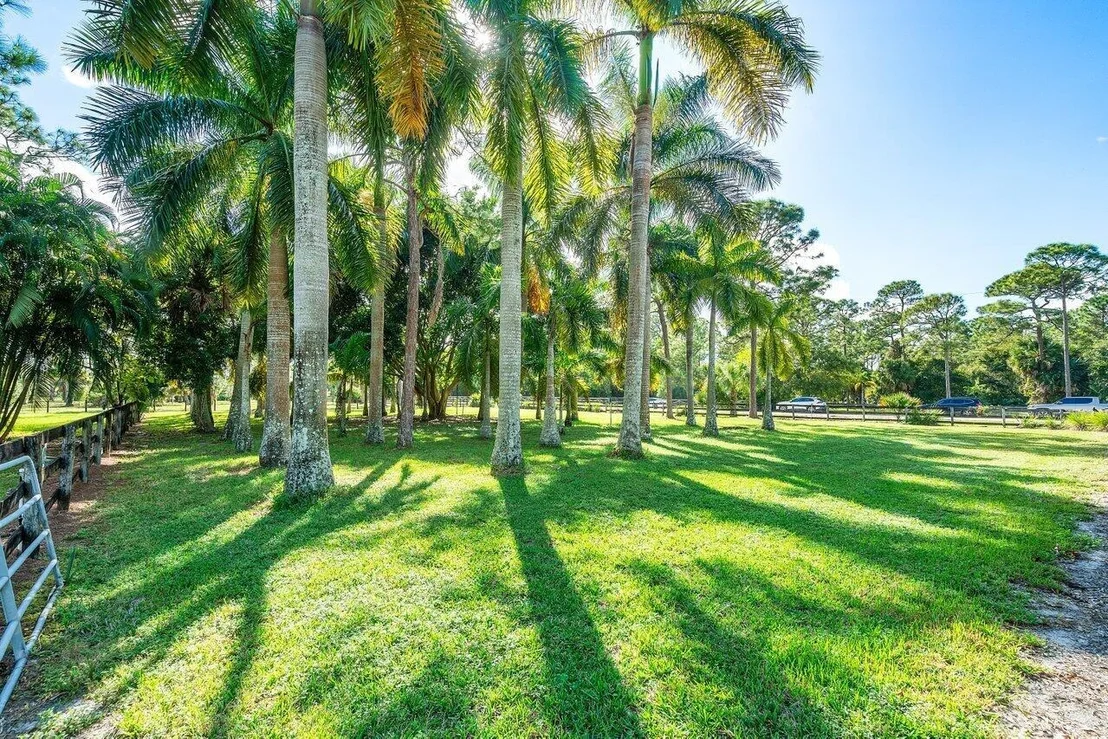 Photo of 3866 Cabbage Palm Way