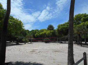 Photo of Unit D310 at 2871 N Ocean Boulevard