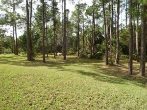 Photo of 15326 77th Place N