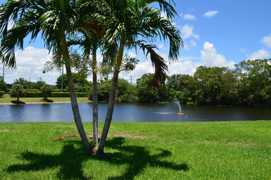 Photo of 15924 Laurel Oak Circle