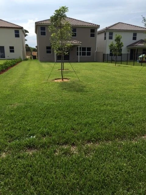 Photo of 4694 Capital Drive