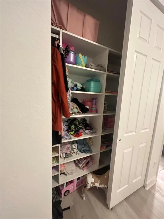 Photo of 1105 Wandering Willow Way