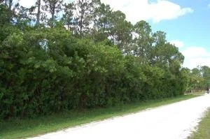 Photo of 18310 93rd Road N