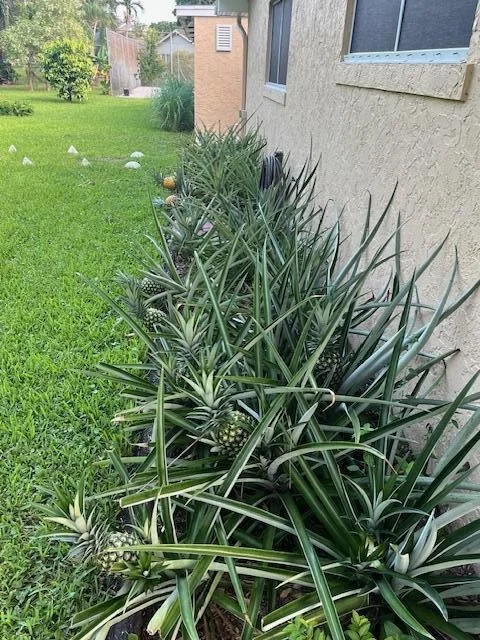 Photo of 6435 Boyd Lane
