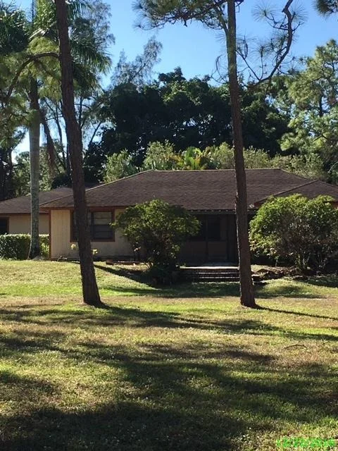 Photo of 4835 Mango