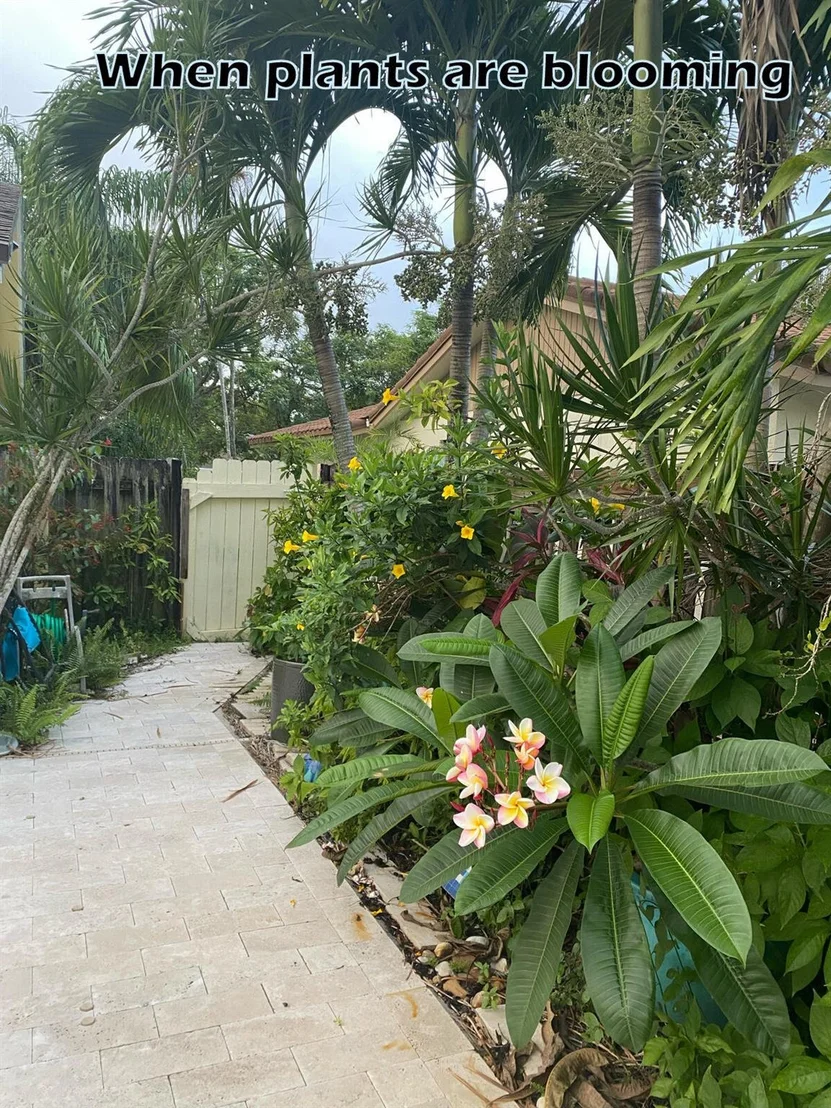 Photo of 9092 Affirmed Lane