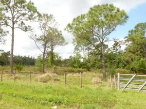 Photo of 17770 112th Drive N