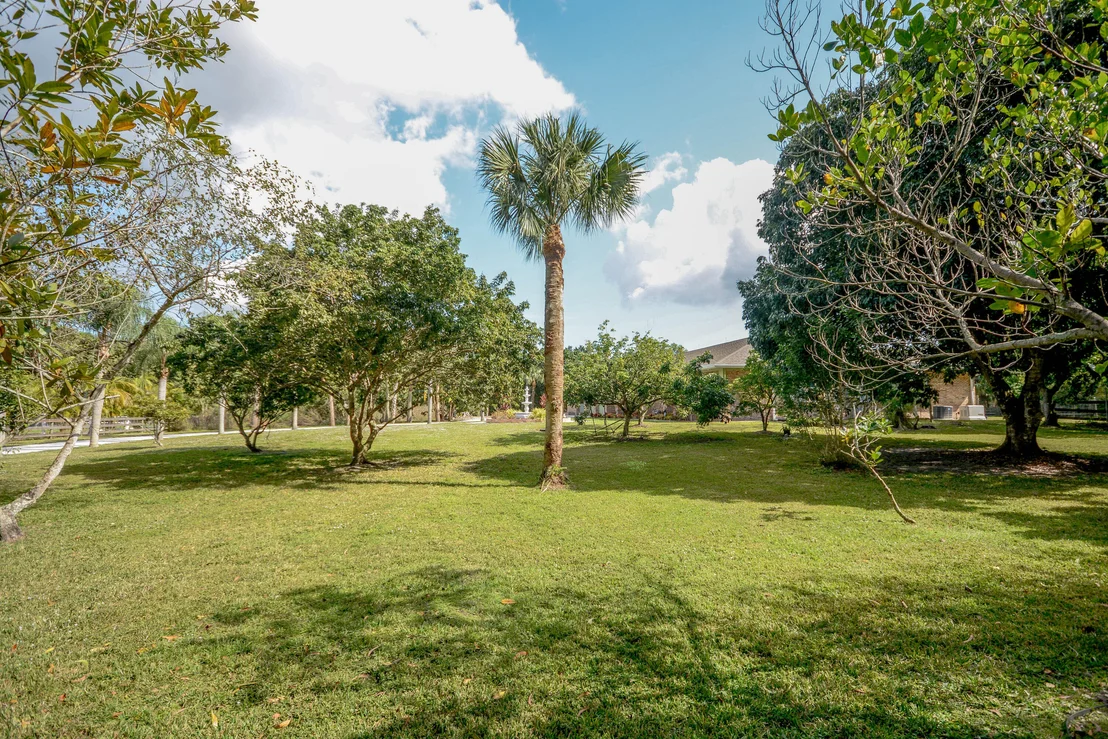 Photo of 10534 Dogwood Trail