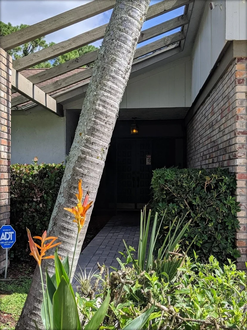 Photo of 12685 Timber Pine Trail