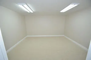 Photo of 4817 Tree Fern Drive