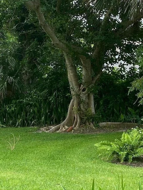 Photo of 936 Tides Road