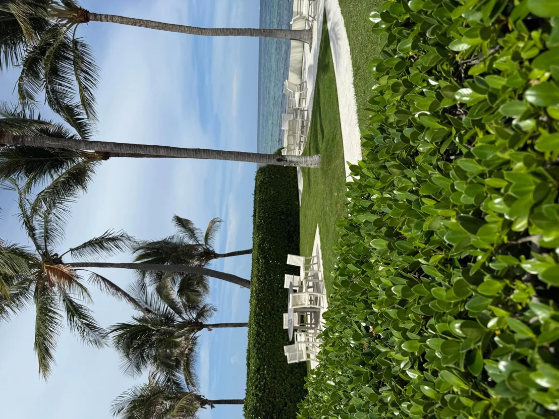 Photo of 222 Monterey Road