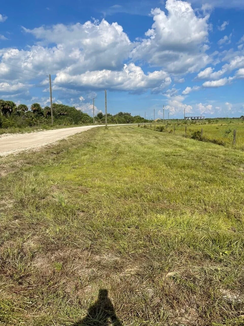 Photo of 1172 Cabbage Drive
