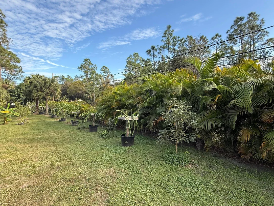 Photo of 16764 97th Way N
