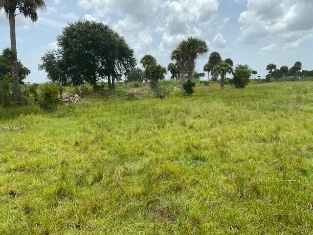 Photo of 1172 Cabbage Drive