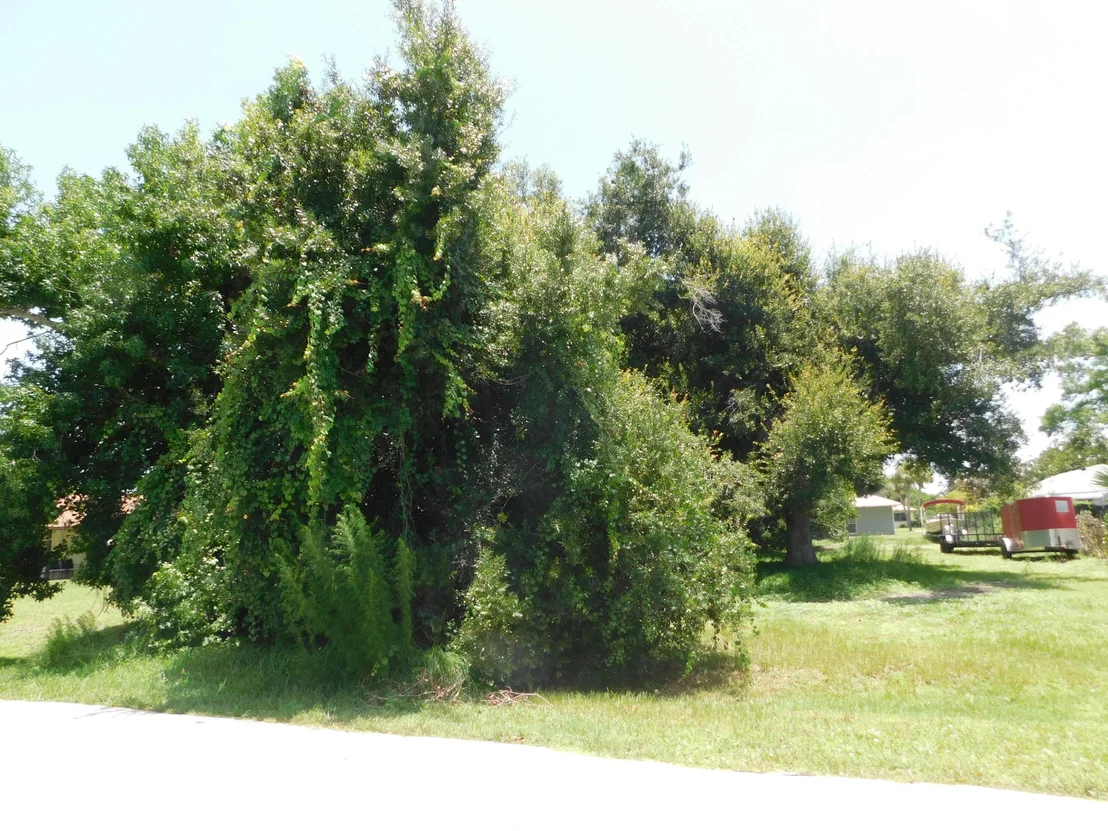 Photo of 5212 PALEO PINES Circle
