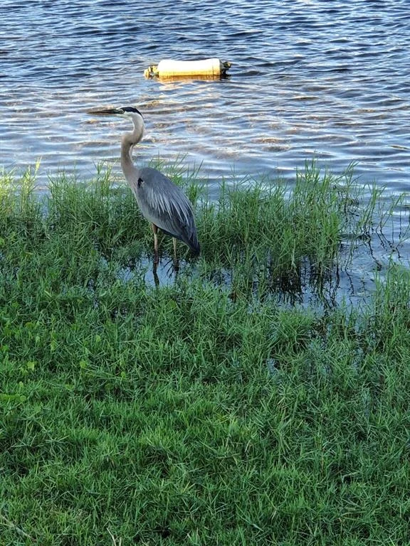 Photo of 3052 Hibiscus Circle