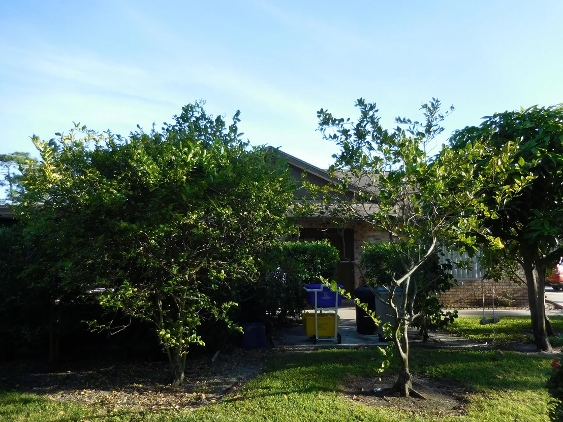 Photo of 151 Doe Trail