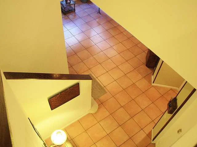 Photo of 1304 Chenille Circle