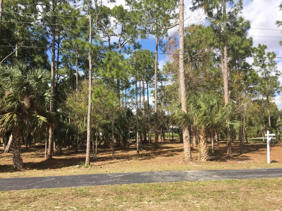 Photo of 14549 Paddock Drive