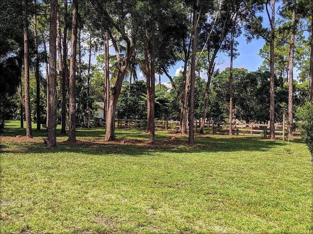 Photo of 12685 Timber Pine Trail