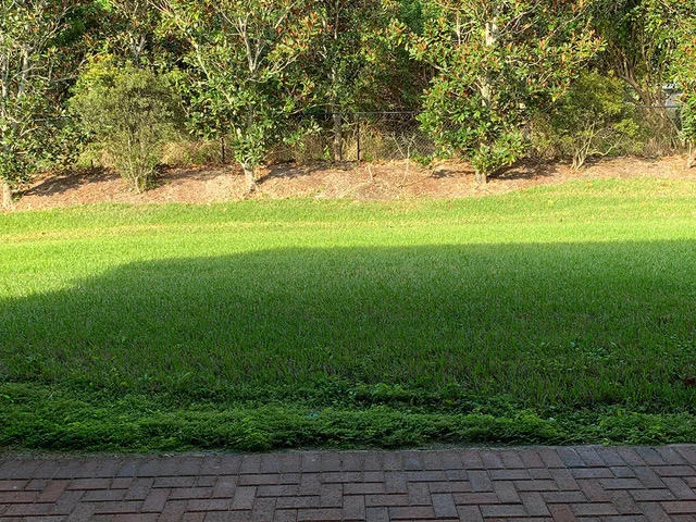 Photo of 6240 Coverty Place