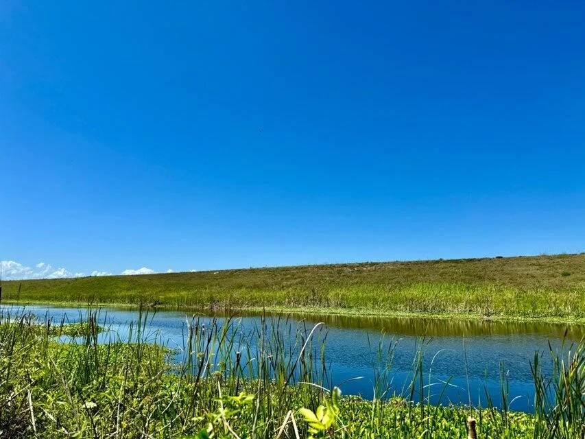 Photo of 5646 Us Hwy 441