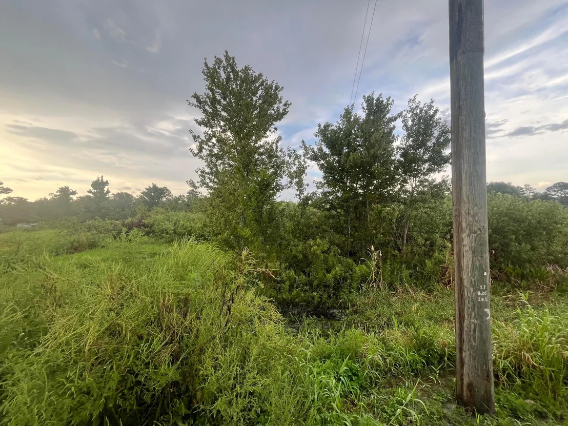Photo of 0 E State Rd 60