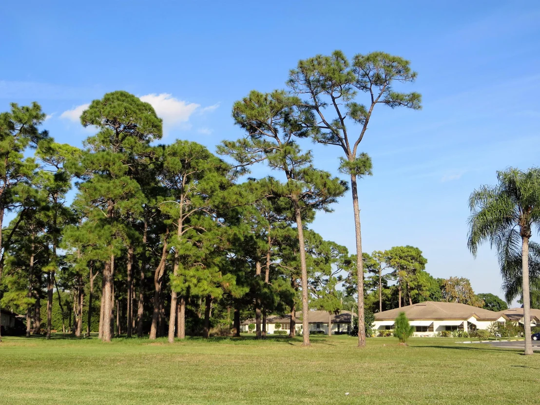 Photo of Unit D at 13980 Nesting Way