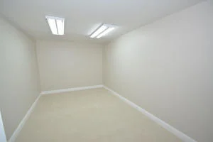 Photo of 4817 Tree Fern Drive