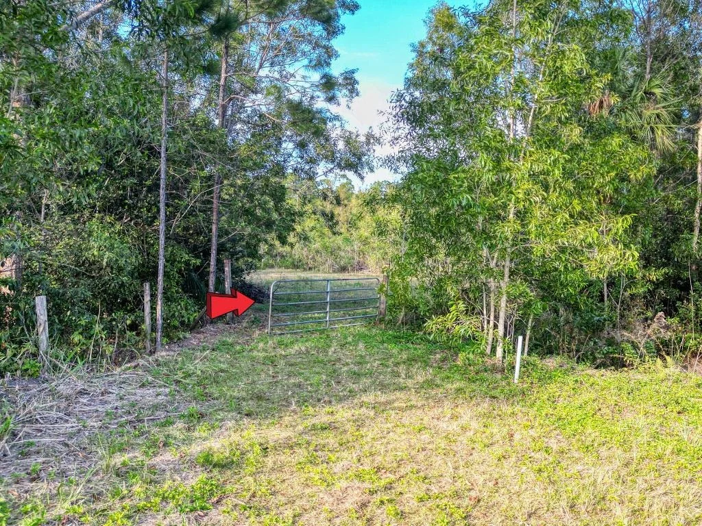 Photo of 9205 Patricia Lane