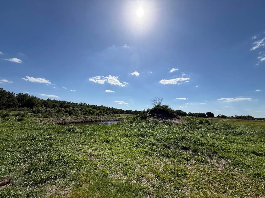 Photo of 2615 Bluff Hammock Road