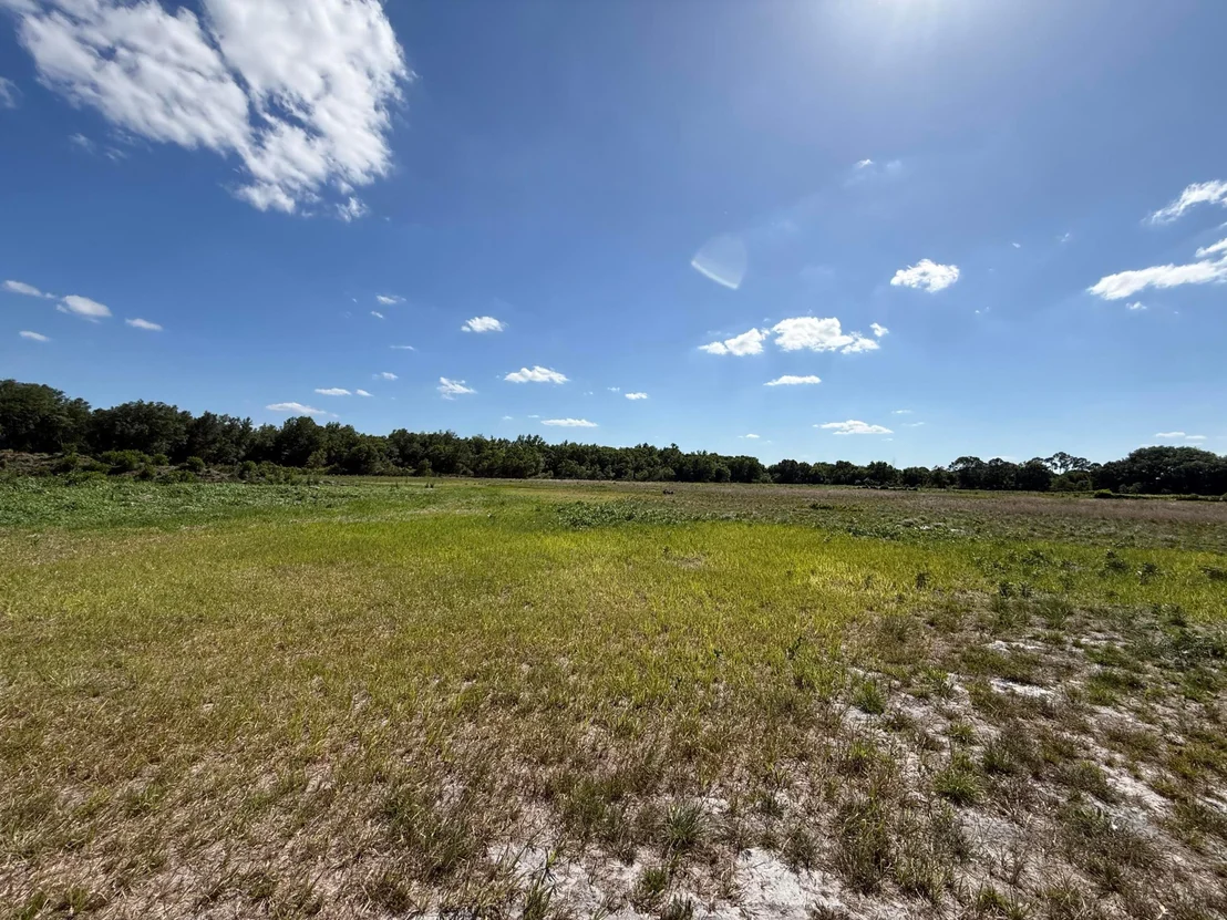 Photo of 2615 Bluff Hammock Road