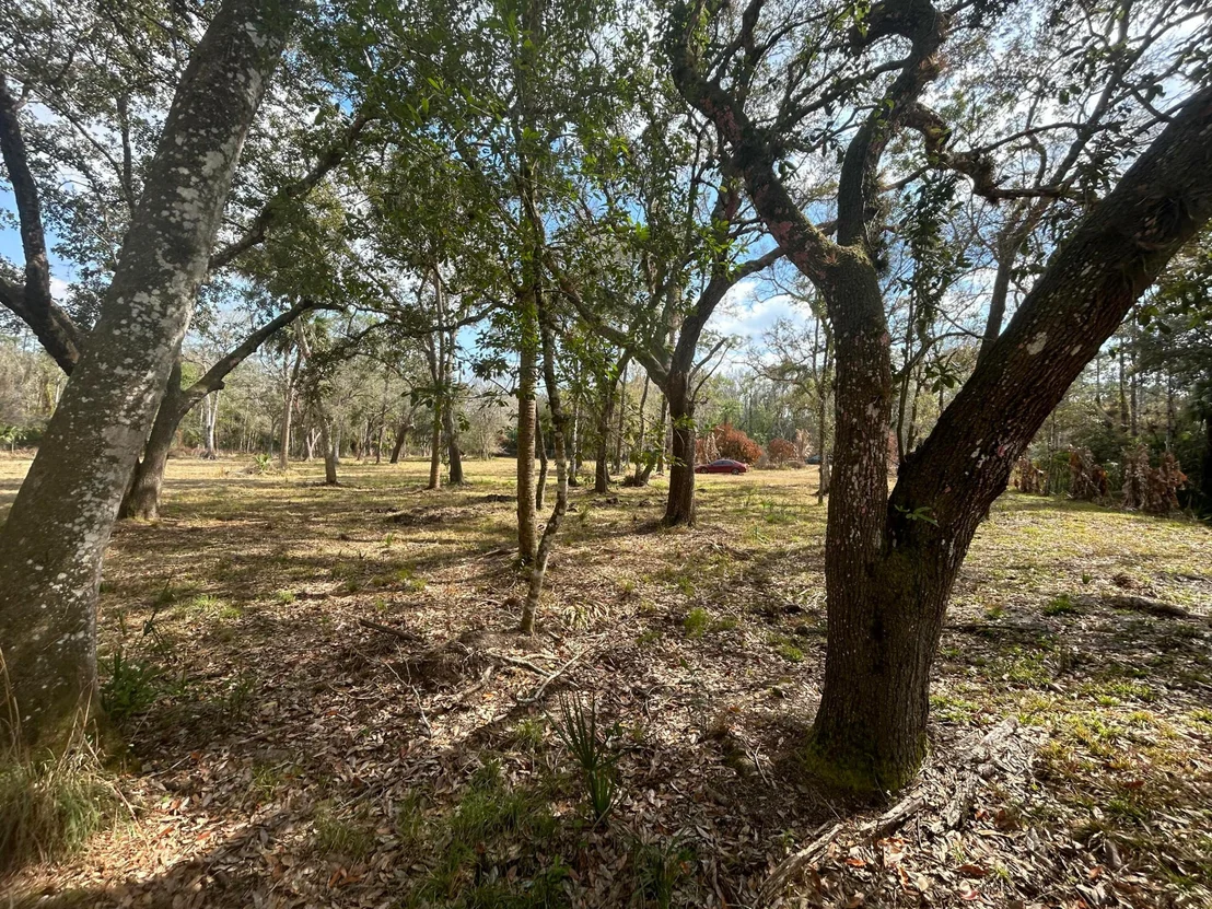 Photo of 855 NW 368th Drive