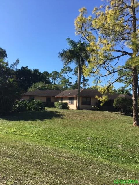 Photo of 4835 Mango