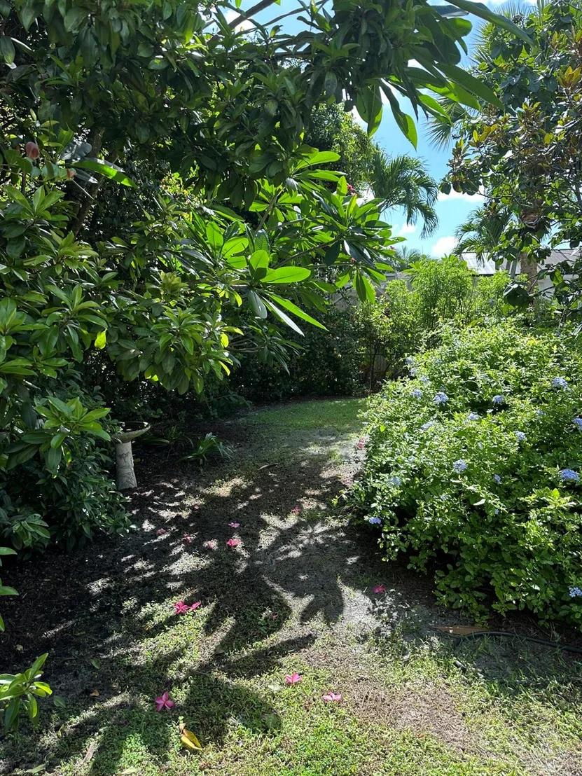 Photo of 44 W Cypress Road