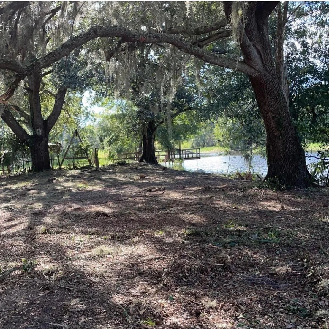 Photo of 420 River Drive