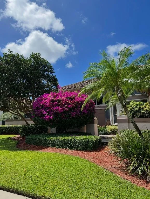Photo of 7142 Montrico Drive