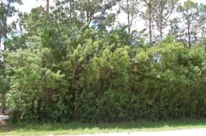 Photo of 18310 93rd Road N