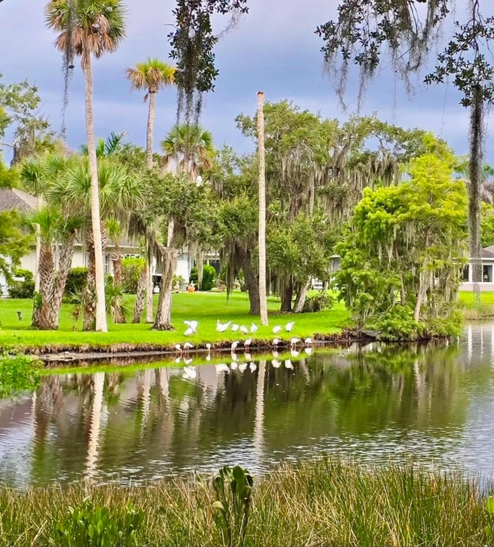 Photo of 401 Tamarind Place