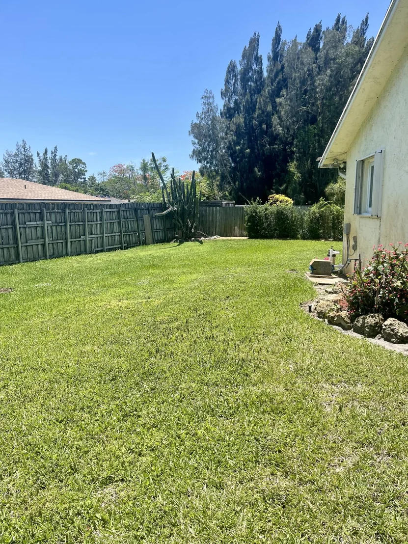 Photo of 4382 Marlin Street