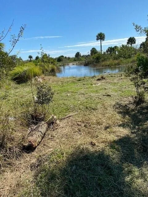 Photo of 2094 Cabbage Drive