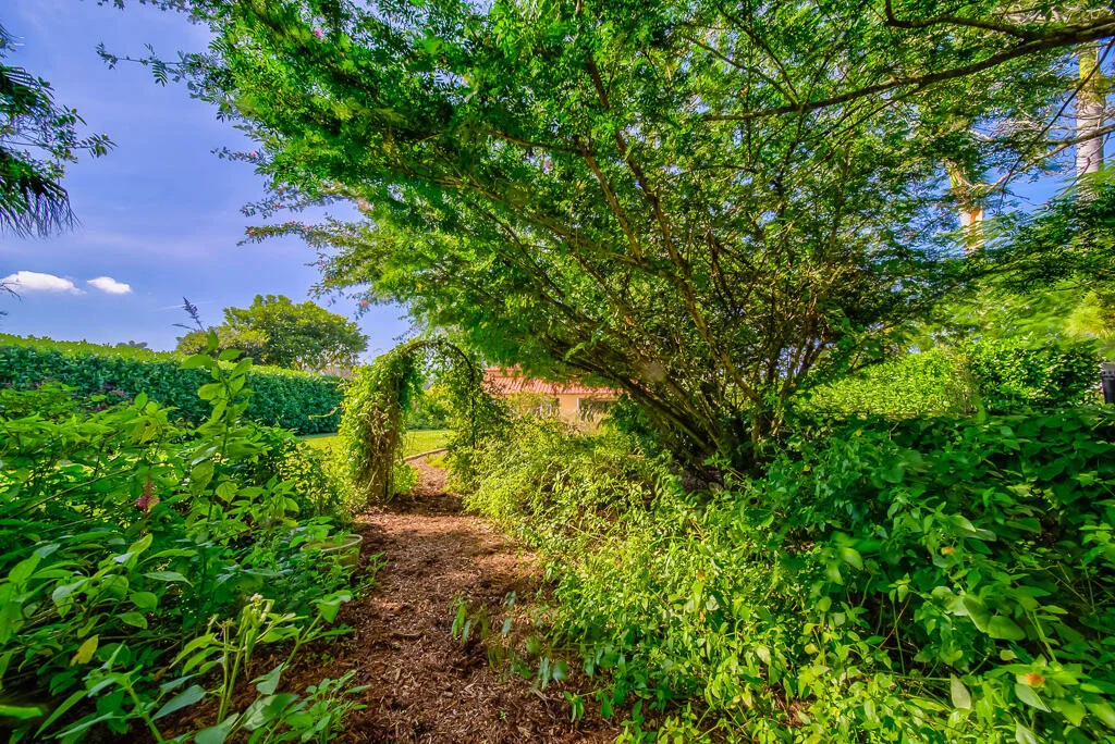 Photo of 4535 Hunting Trail