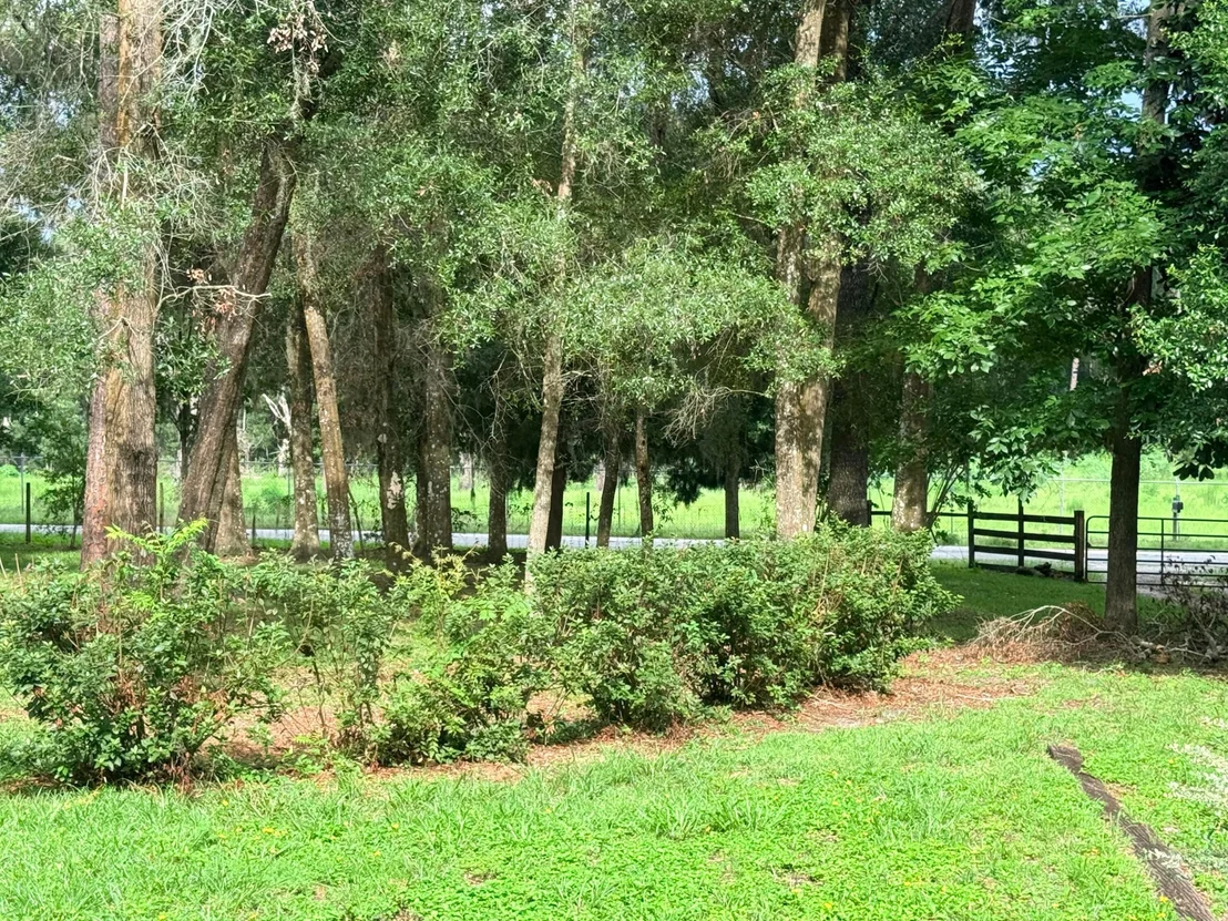 Photo of 7528 County Road 663