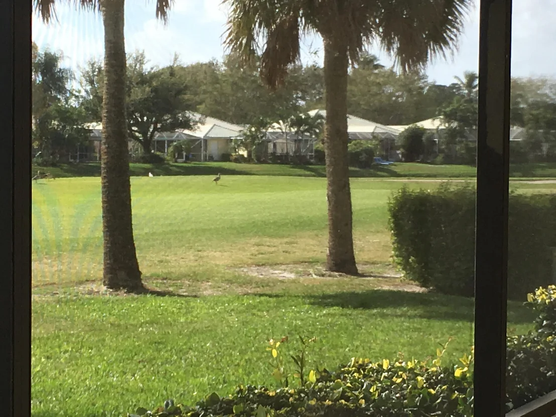 Photo of Unit E at 1001 Pinecrest Circle