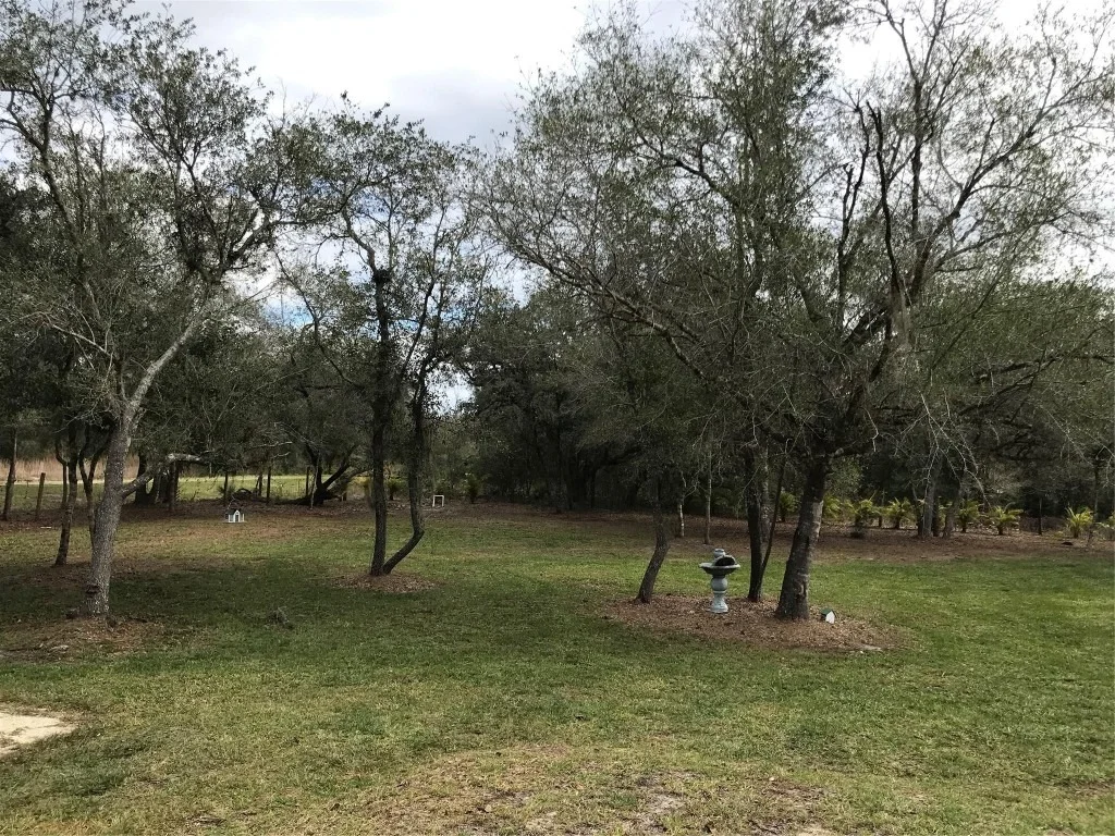 Photo of 19418 NW 246th Street