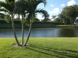 Photo of 12203 Forest Greens Drive