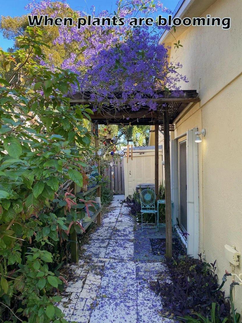 Photo of 9092 Affirmed Lane