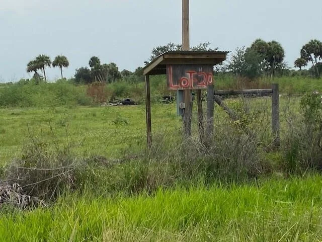 Photo of 1172 Cabbage Drive
